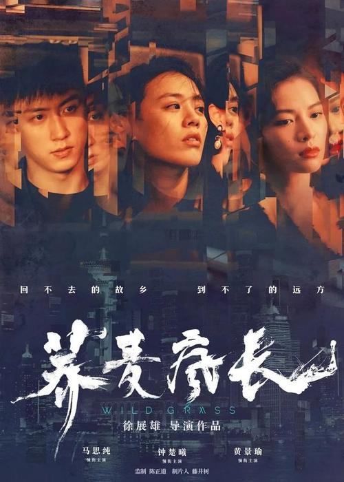 帕多瓦大学电子工程学位证书
